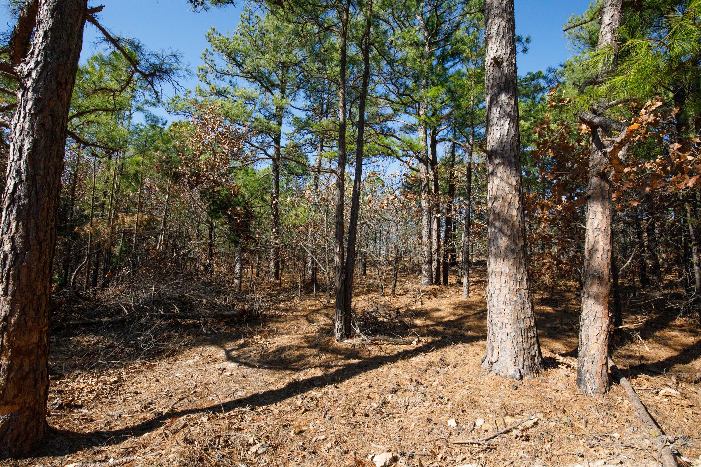Tract 101 at Stone Bridge Phase II in LatimerHaskell County, Oklahoma