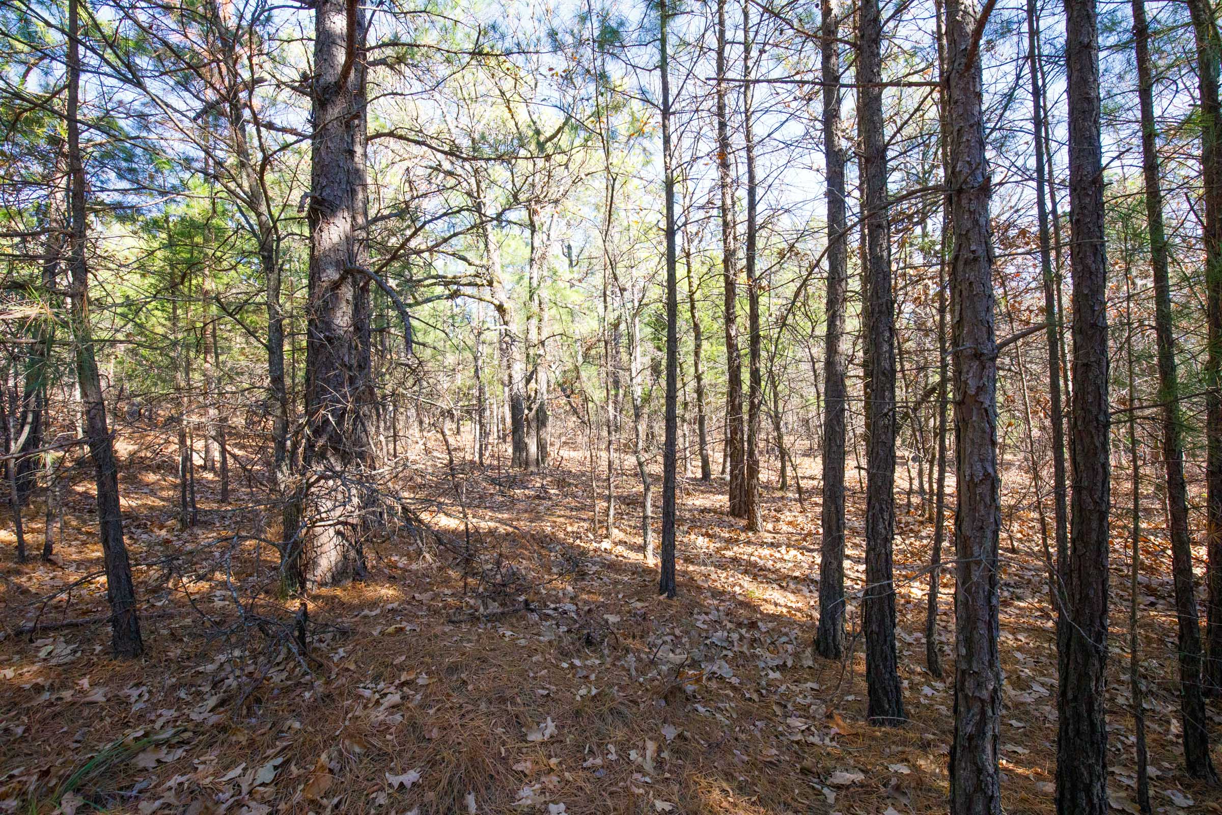 Tract 102 at Stone Bridge Phase II in LatimerHaskell County, Oklahoma