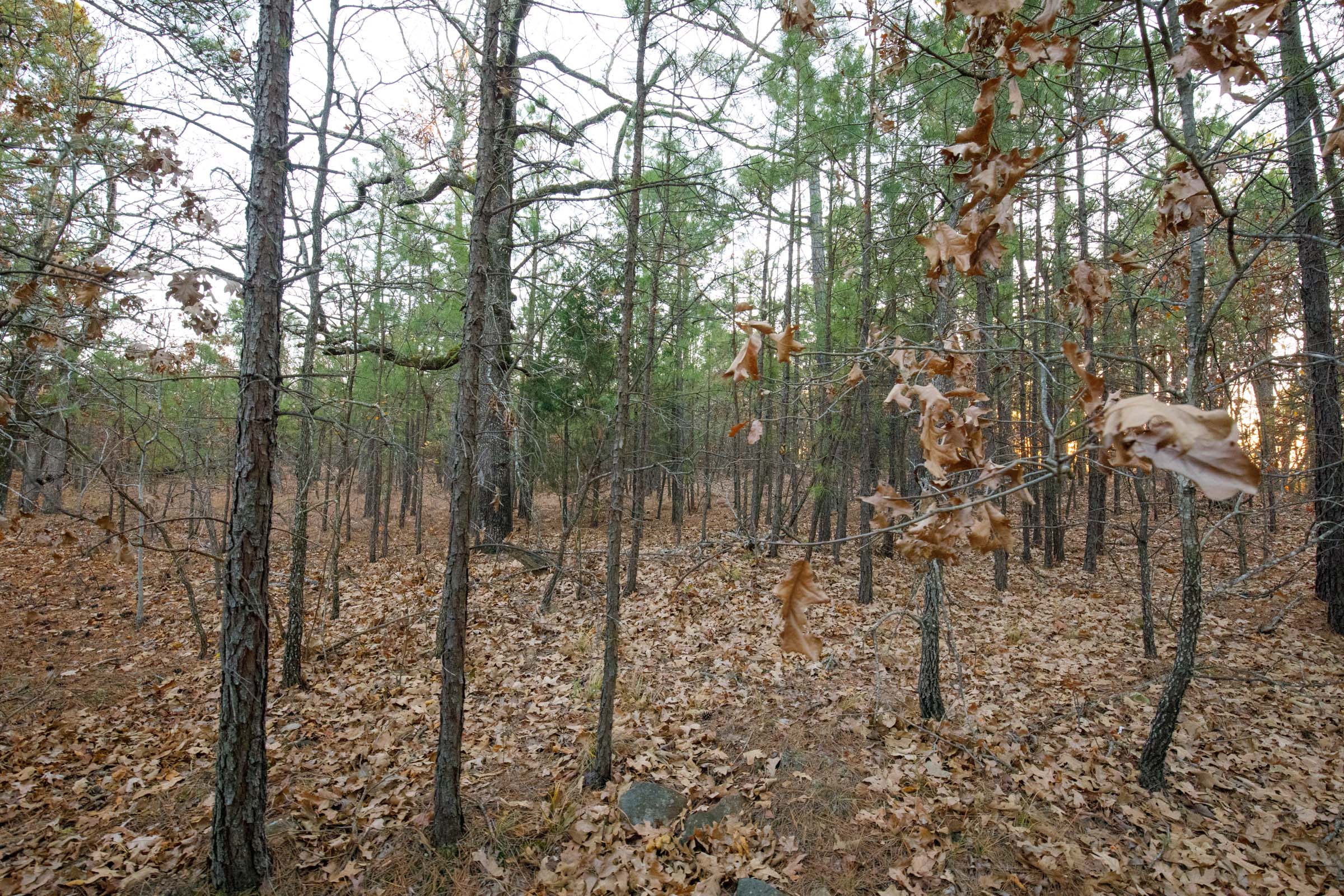 Tract 113 at Stone Bridge Phase II in LatimerHaskell County, Oklahoma