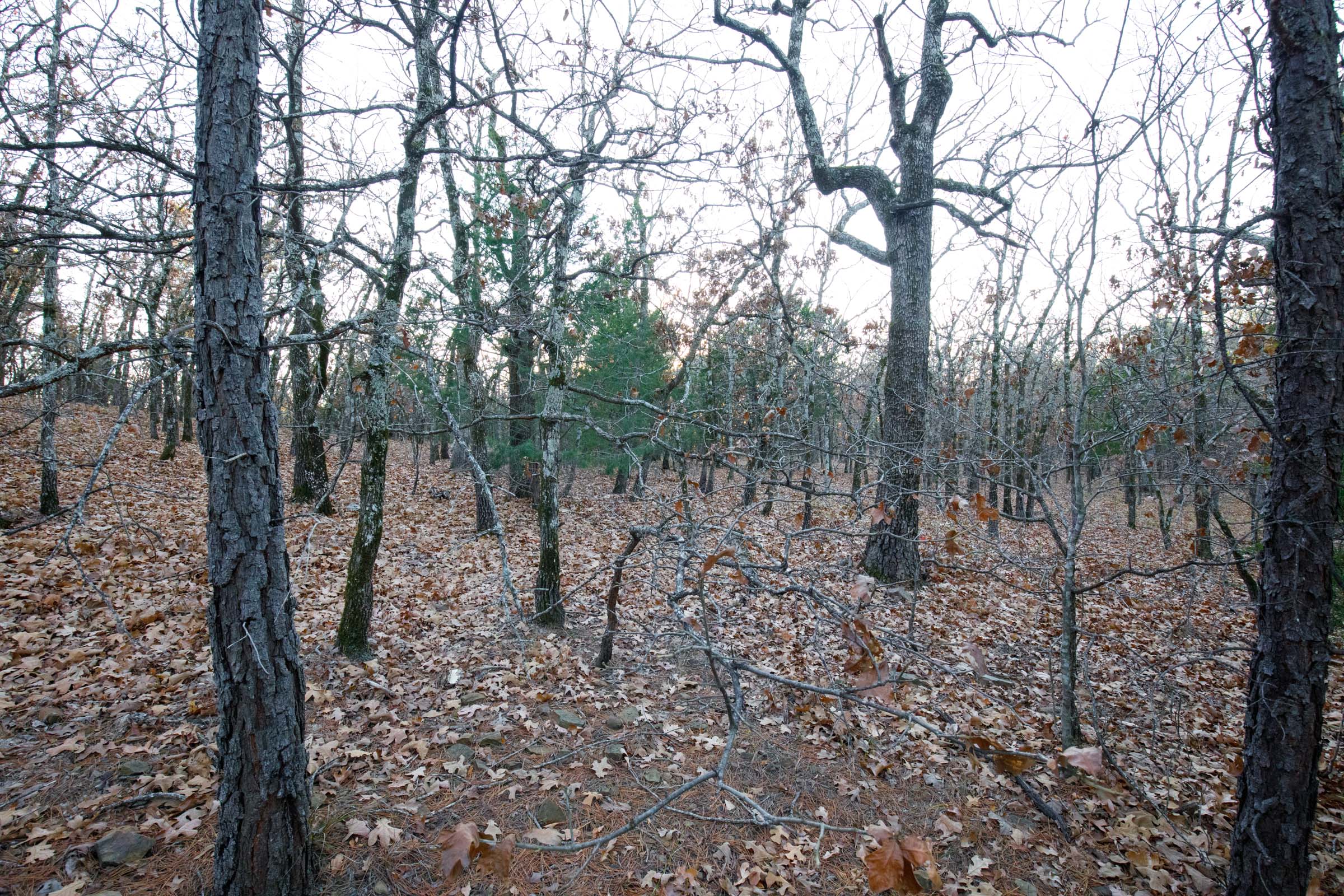 Tract 114 at Stone Bridge Phase II in LatimerHaskell County, Oklahoma