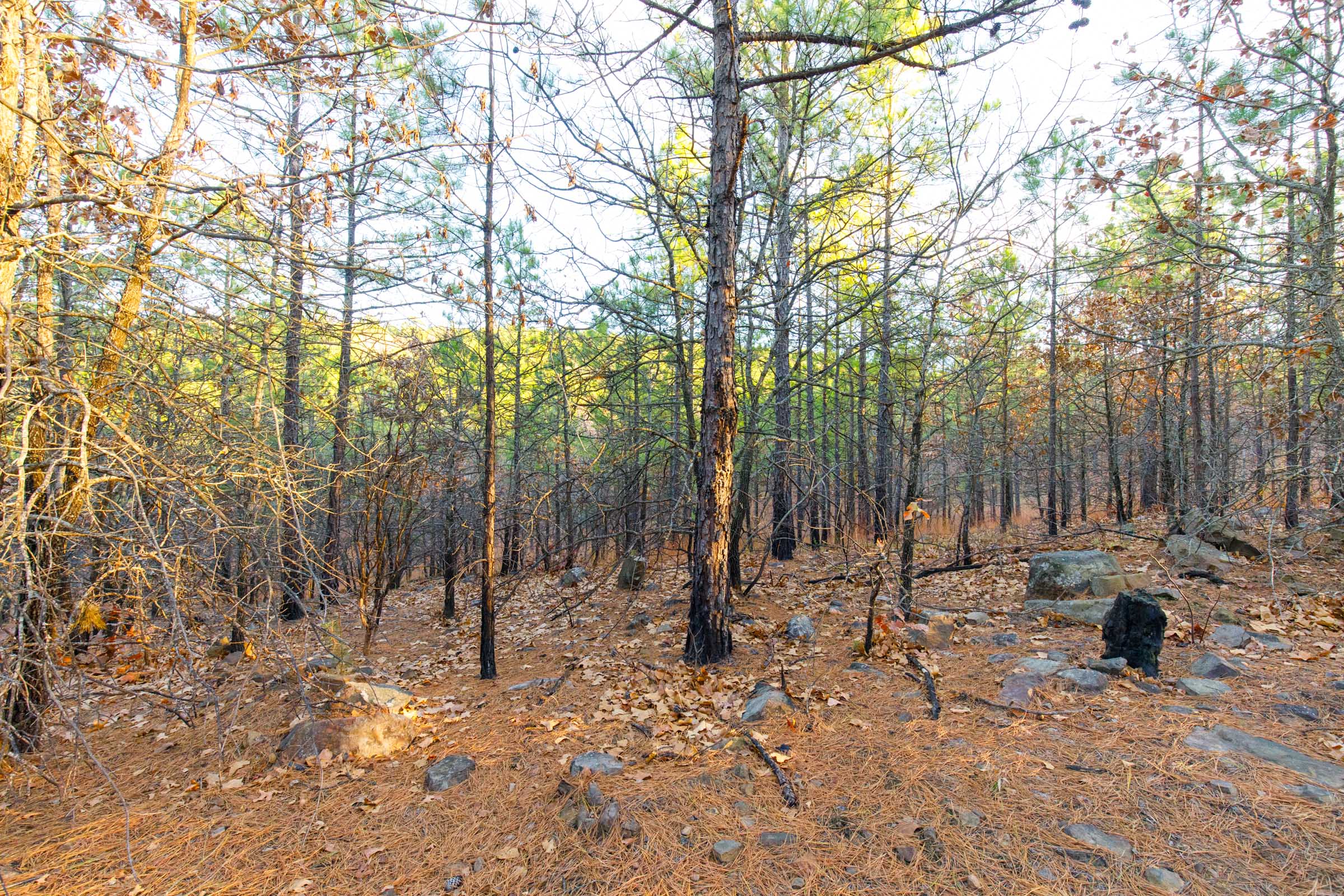 Tract 119 at Stone Bridge Phase II in LatimerHaskell County, Oklahoma