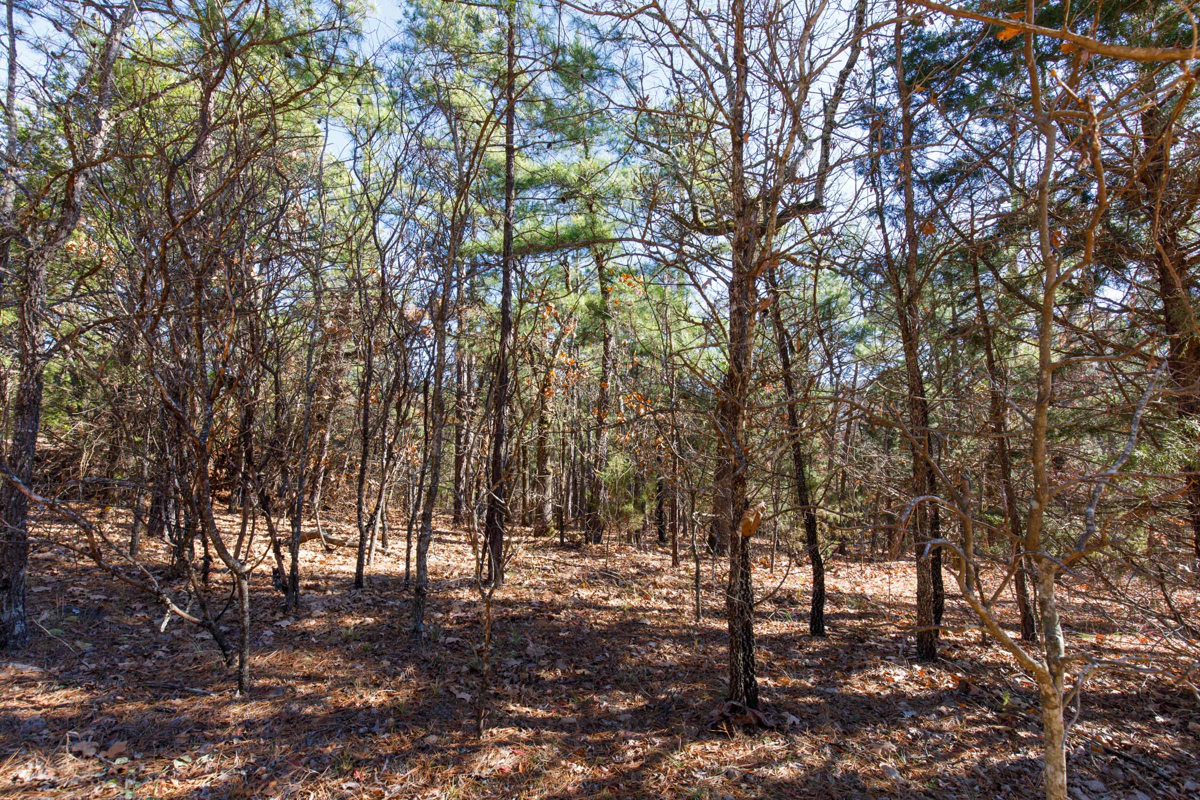 Tract 124 at Stone Bridge Phase II in LatimerHaskell County, Oklahoma