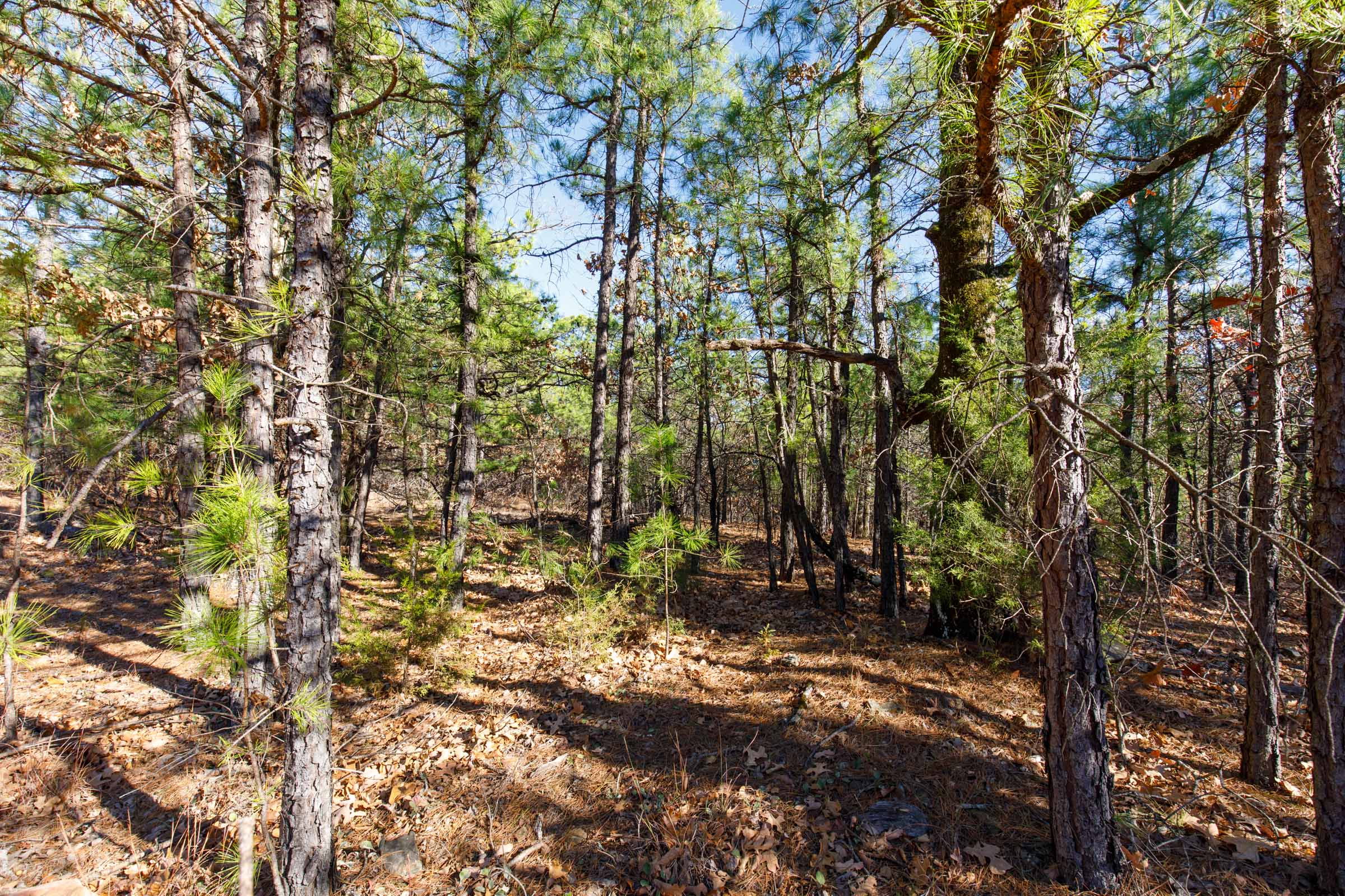 Tract 130 at Stone Bridge Phase II in LatimerHaskell County, Oklahoma