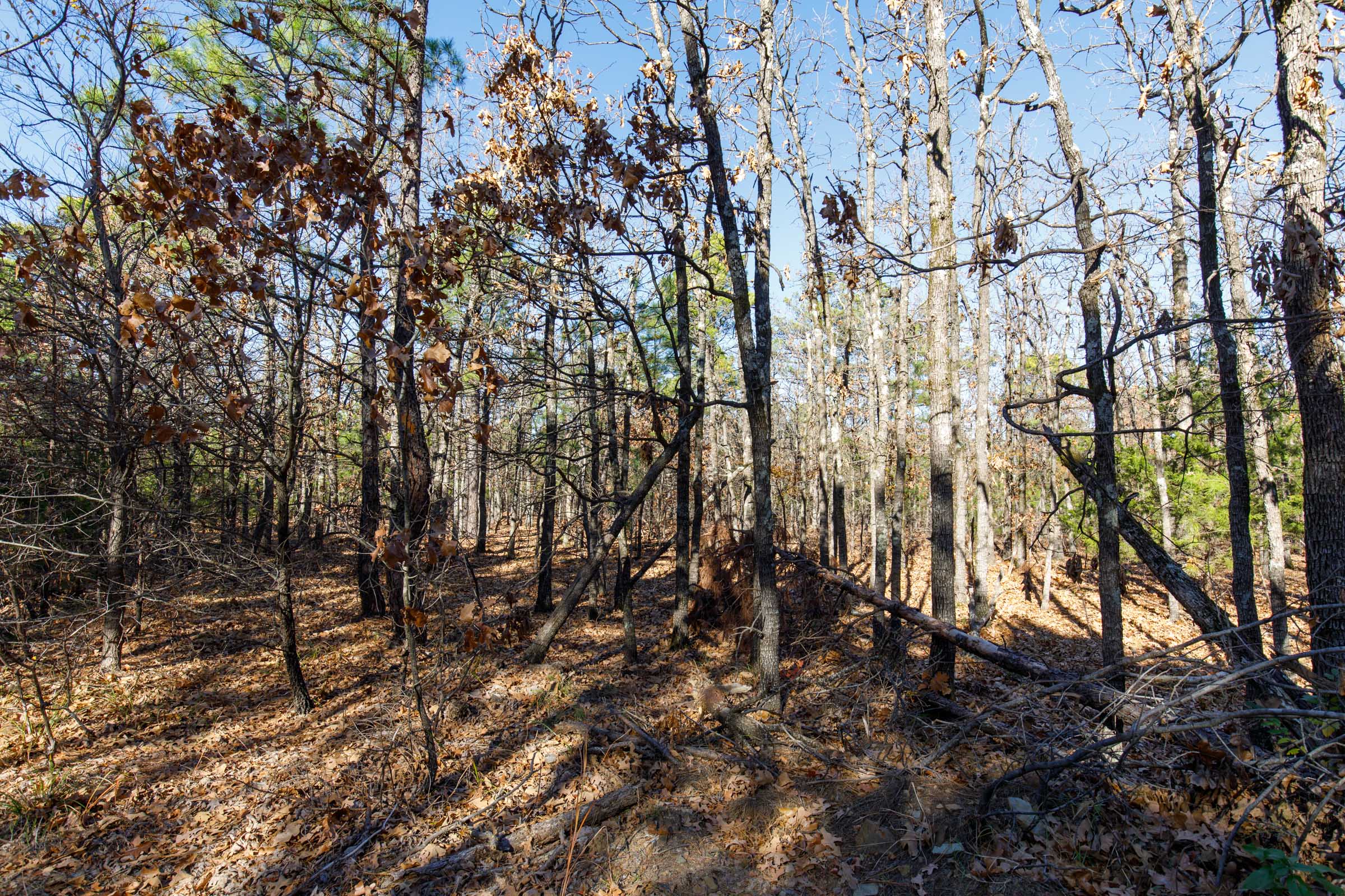 Tract 131 at Stone Bridge Phase II in LatimerHaskell County, Oklahoma