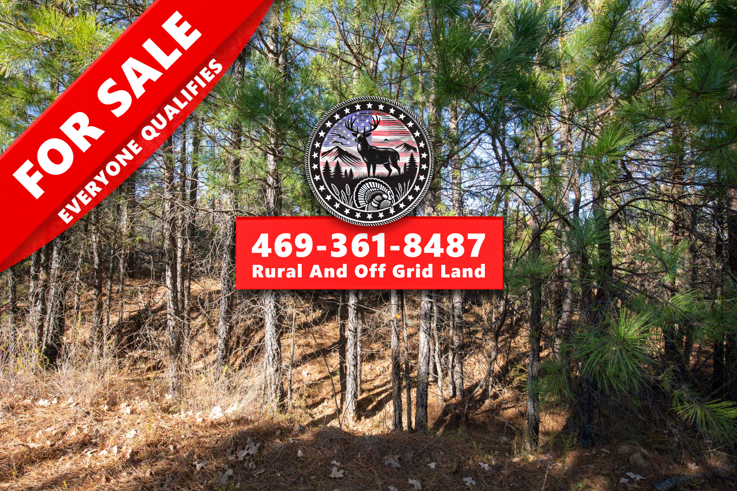 STBPII-T78 tract image
