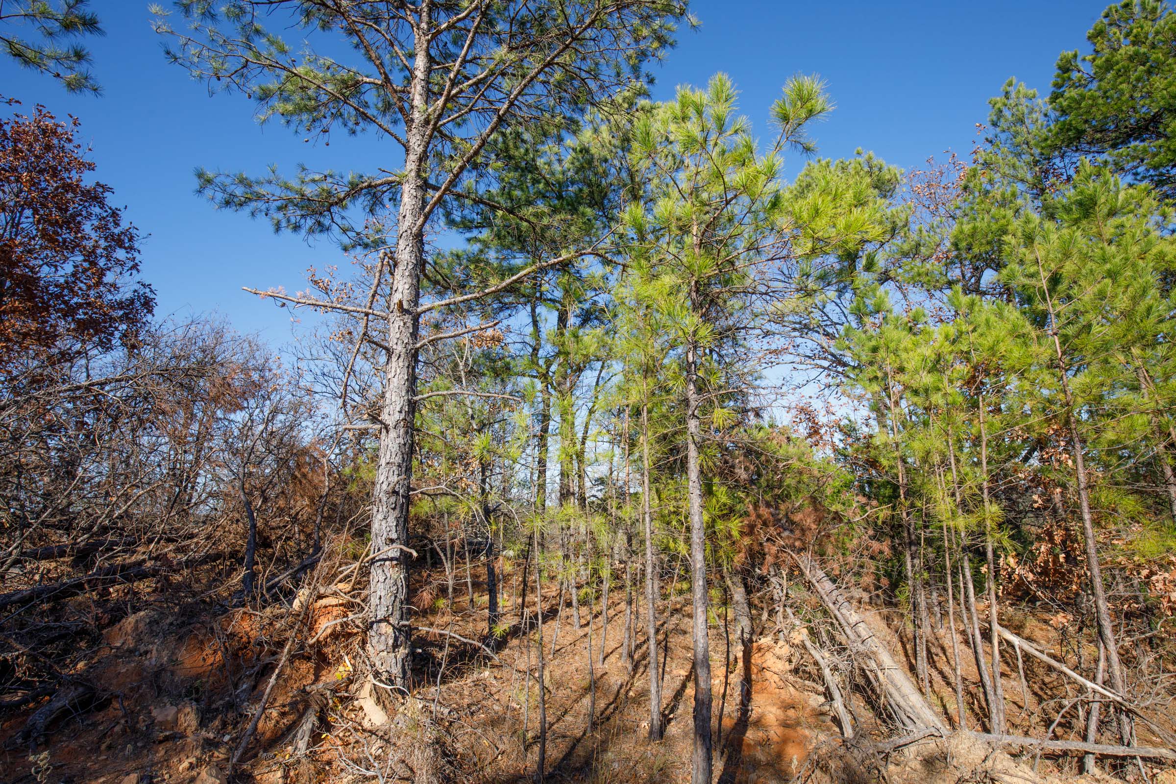 Tract 79 at Stone Bridge Phase II in LatimerHaskell County, Oklahoma