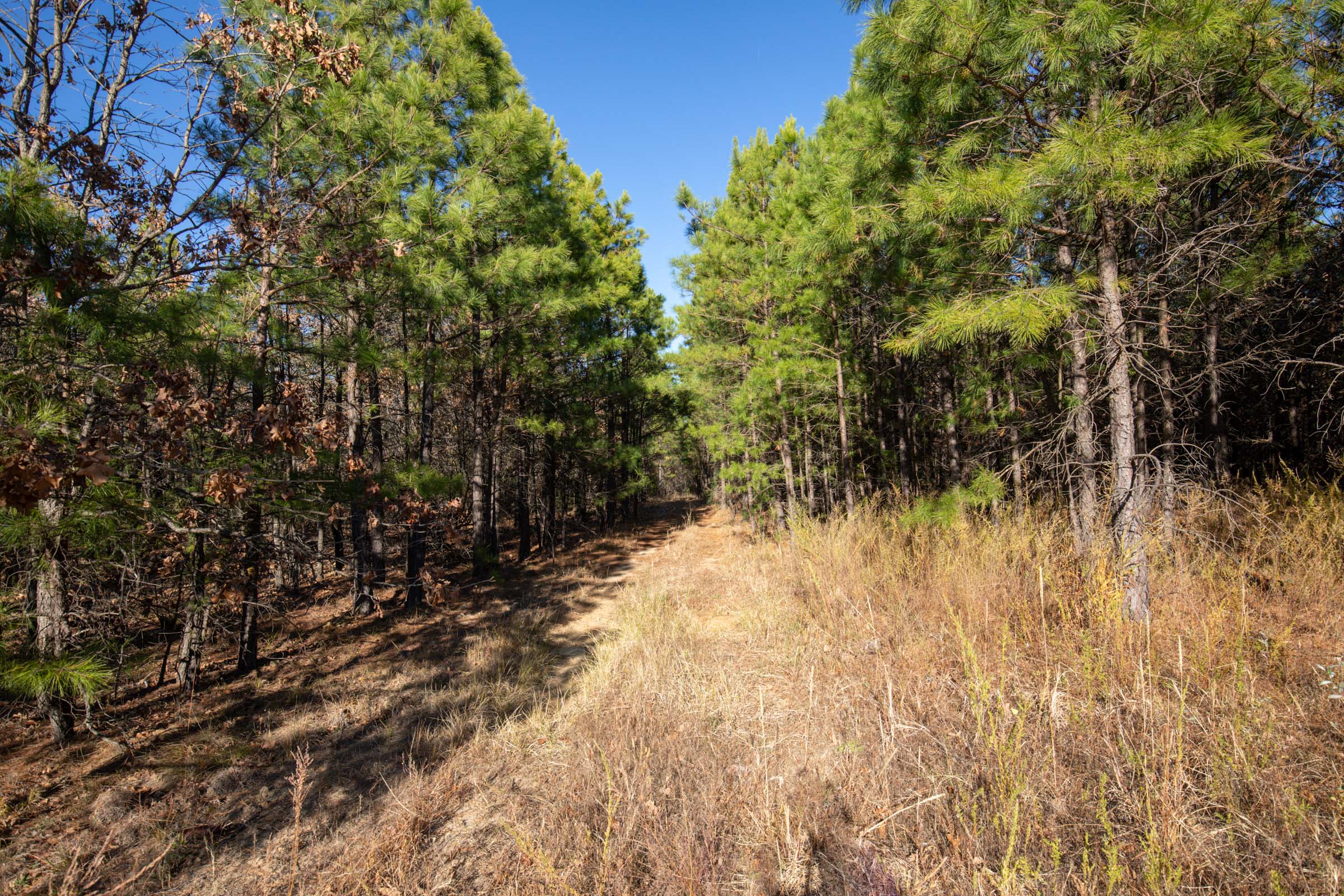 Tract 82 at Stone Bridge Phase II in LatimerHaskell County, Oklahoma