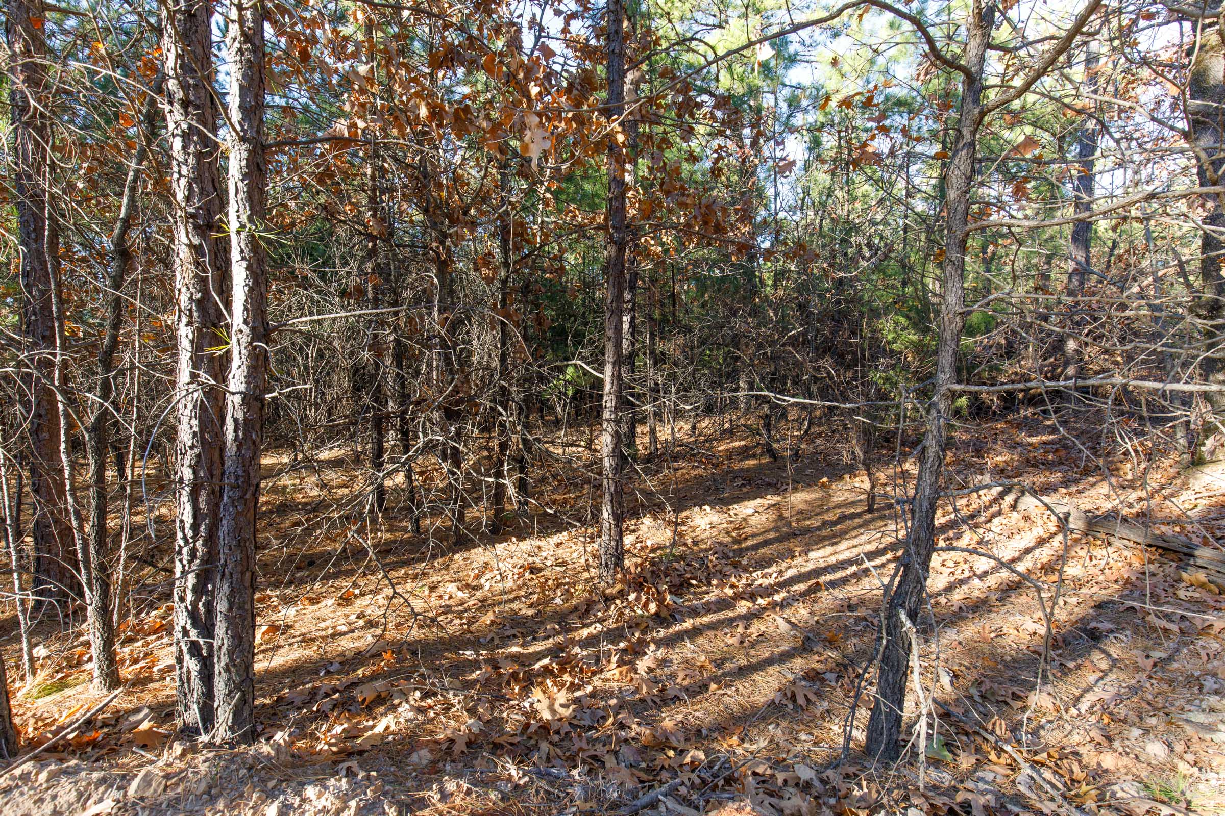 Tract 83 at Stone Bridge Phase II in LatimerHaskell County, Oklahoma