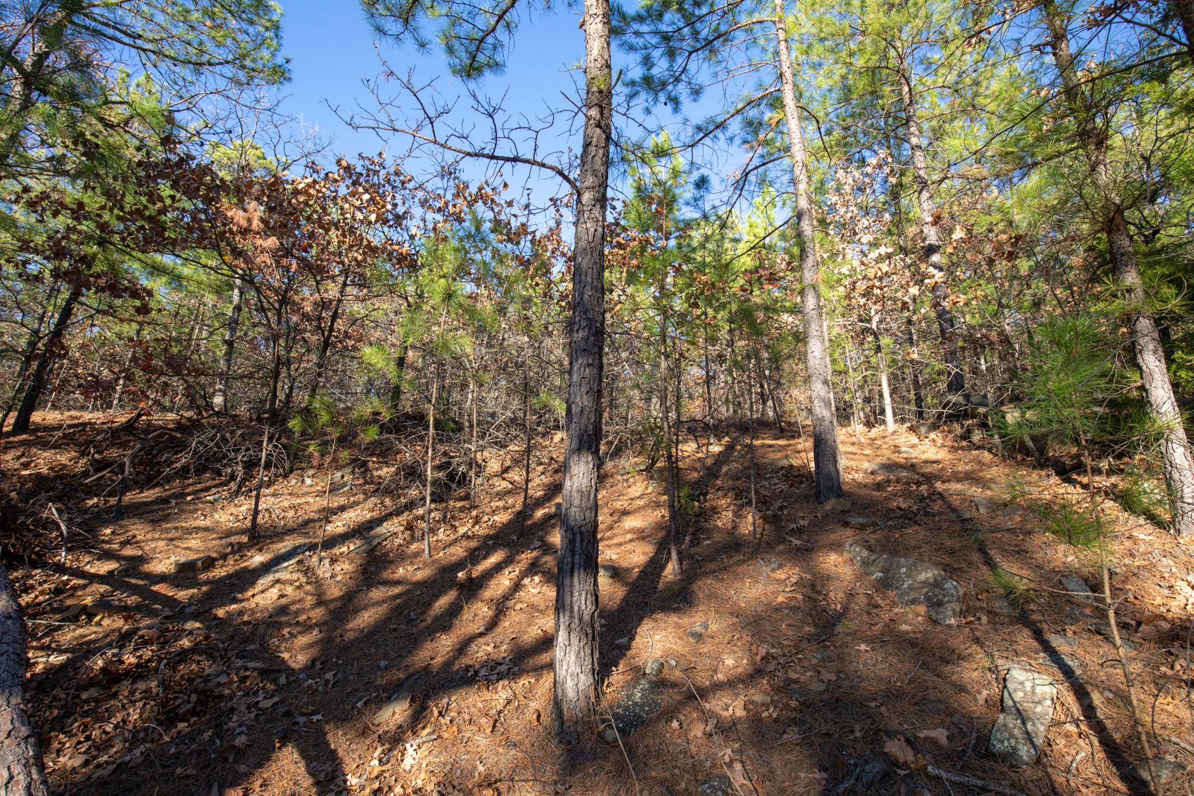 Tract 84 at Stone Bridge Phase II in LatimerHaskell County, Oklahoma