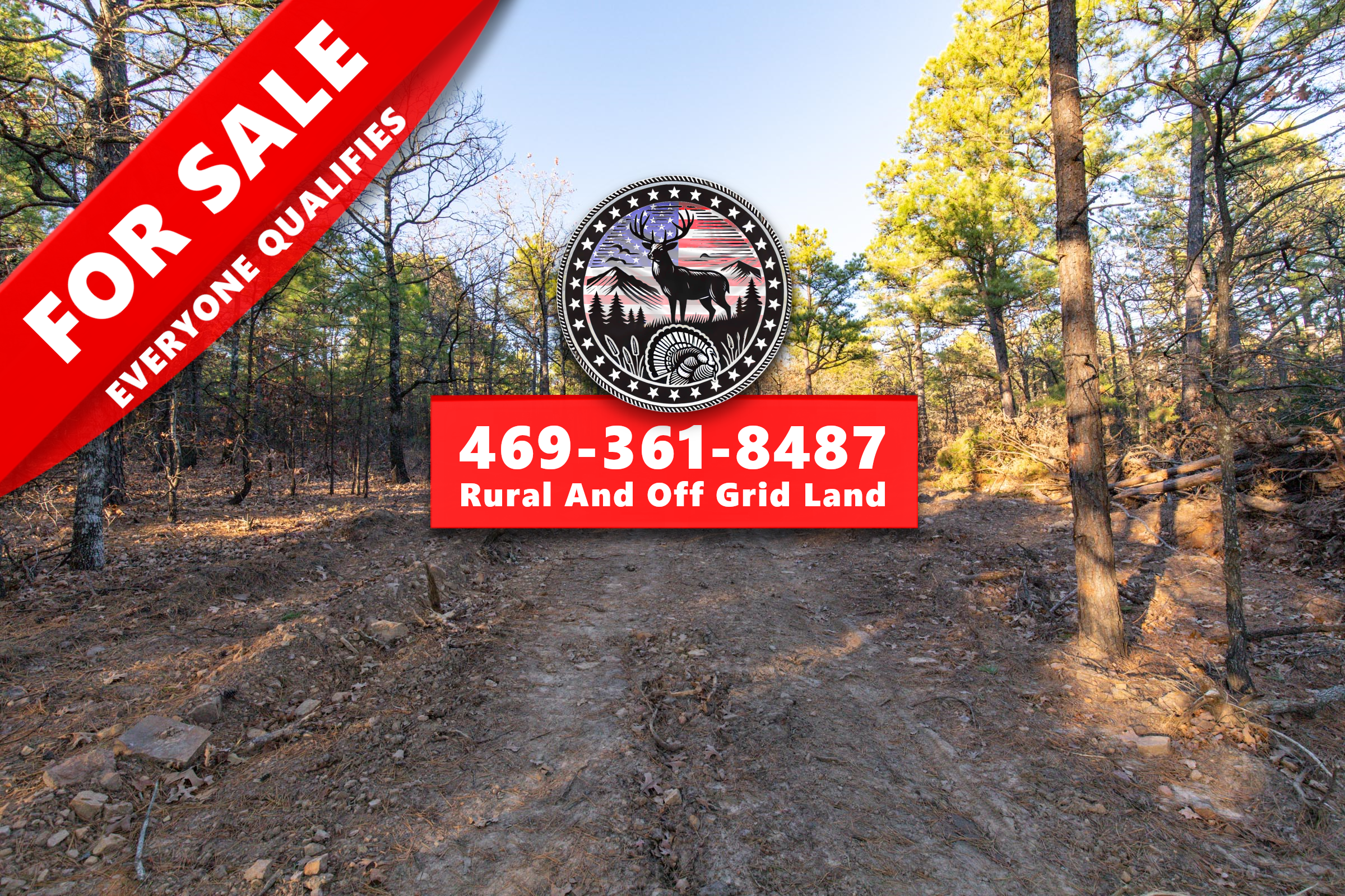 STBPII-T88 tract image